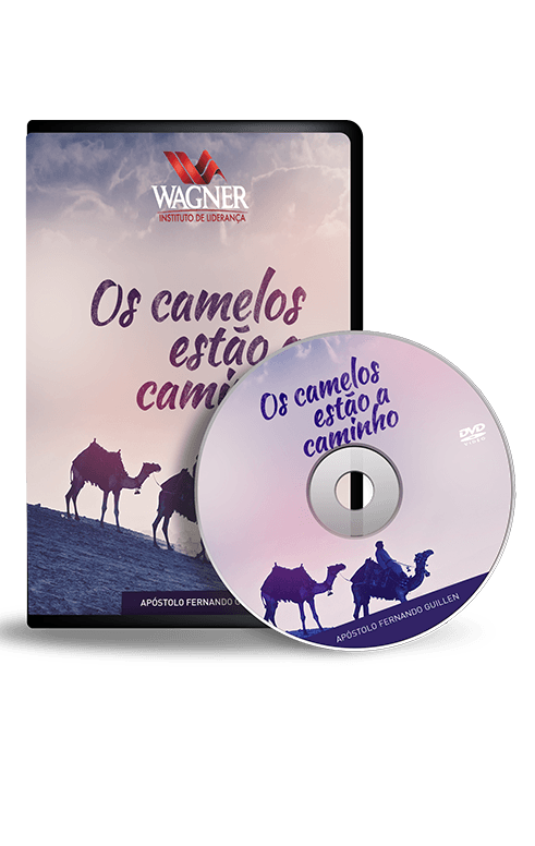 Os Camelos estão à Caminho